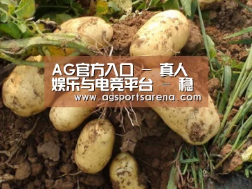 种植基地六
