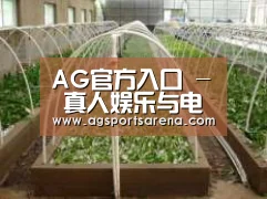 环境展示五