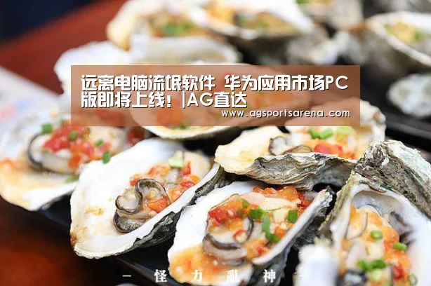远离电脑流氓软件 华为应用市场PC版即将上线!|AG直达(图2) AG电竞